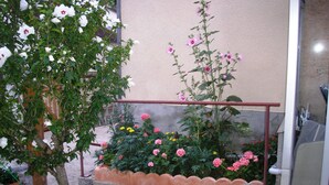 Un jardin agrémenté de diverses plantes à fleurs et d’un petit arbre.