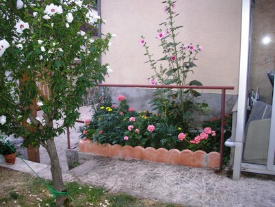 Detached house with garden