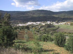 المنطقة المحيطة بالمنشأة