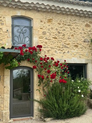 Detalle del exterior