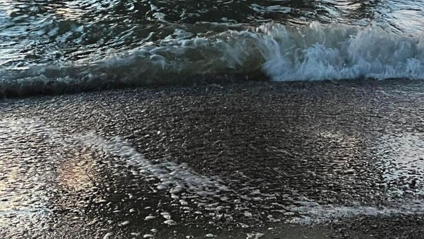 A pier extending into the water with waves at the base. - Tybee Retreat Unit 2 (Tybee Island)