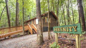 Une cabane en bois, portant l’inscription « Sérénité », est entourée d’une forêt. Une terrasse en bois et un escalier mènent à la cabane.