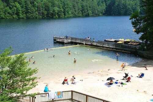 Southern Seclusion- Nestled in the back of the wood next to the National Forest