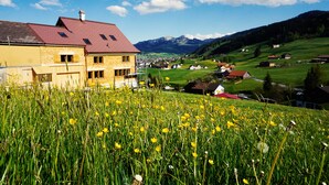 A rural landscape with a house and a field of yellow flowers. - NEW - renovated Bitzi - with a view (Appenzell)