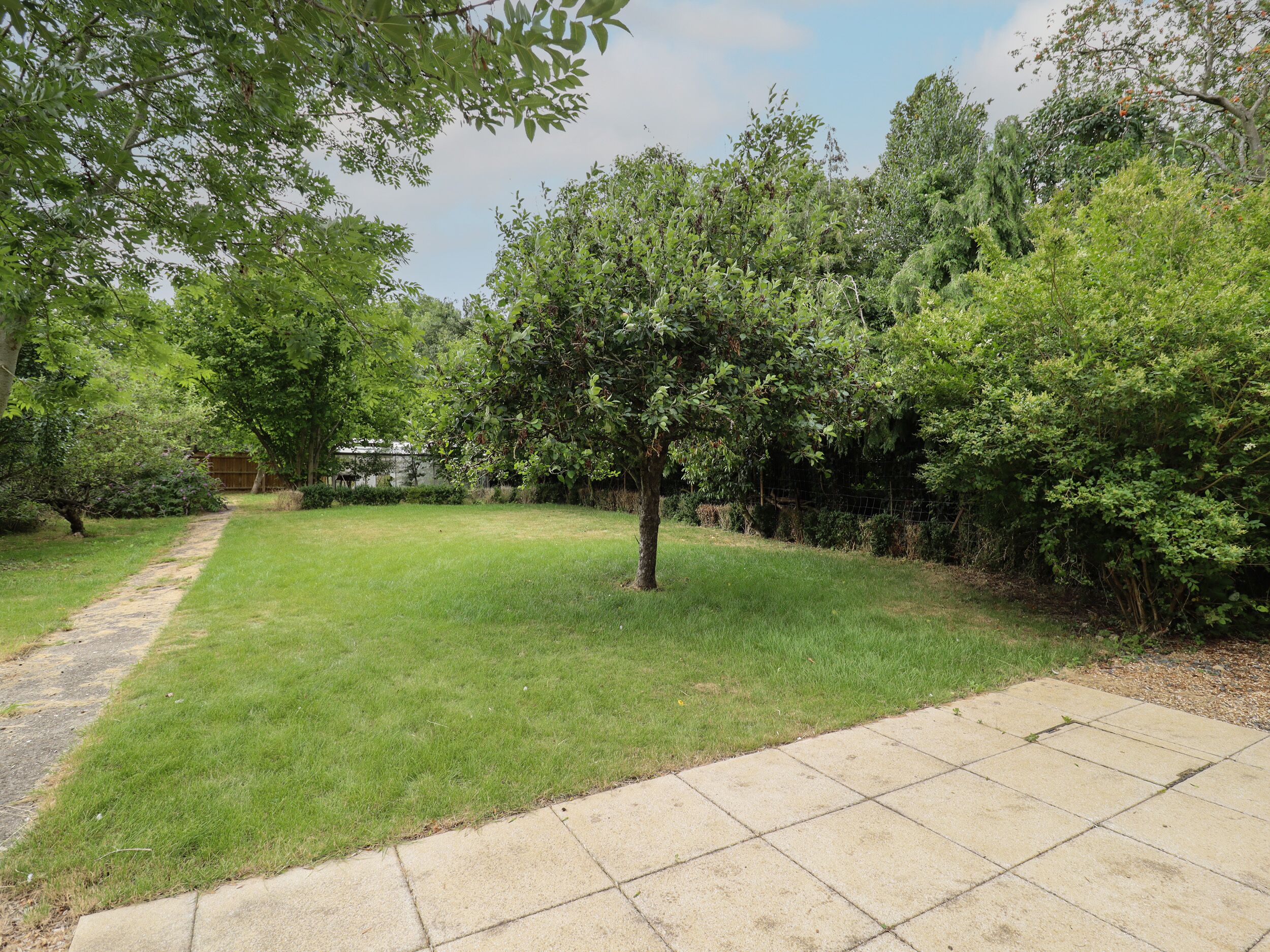 A well-maintained backyard with a paved walkway, lush green grass, and various trees and shrubs.