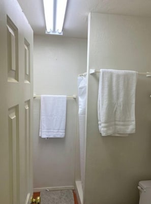 Combined shower/bathtub, towels, soap, toilet paper
