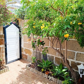 Un jardin avec une porte blanche, un mur de briques et diverses plantes.