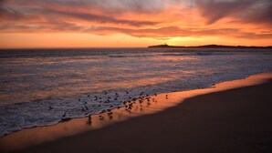 En strand ved solnedgang med bølger og fugle på sandet.