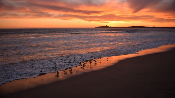 Ein Strand mit Wellen und einem Sonnenuntergang.