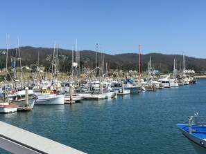 Un port de plaisance où sont amarrés de nombreux bateaux, un ciel dégagé et un paysage vallonné en arrière-plan.