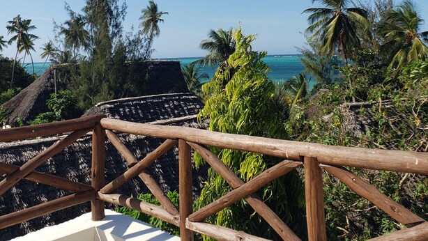 Barandilla de madera con vistas a una playa, palmeras y un cielo azul despejado.
