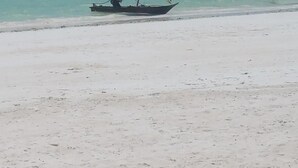 Un bote con vela en una playa arenosa junto a un mar azul y transparente.