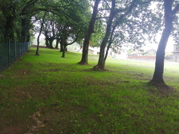 A grassy area with trees and a fence.