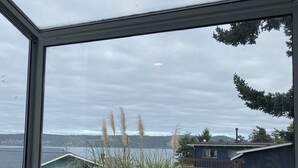 A view through a window with a metal grid, overlooking a grassy yard with tall grasses and a house in the background. - Amazing views (Sequim)