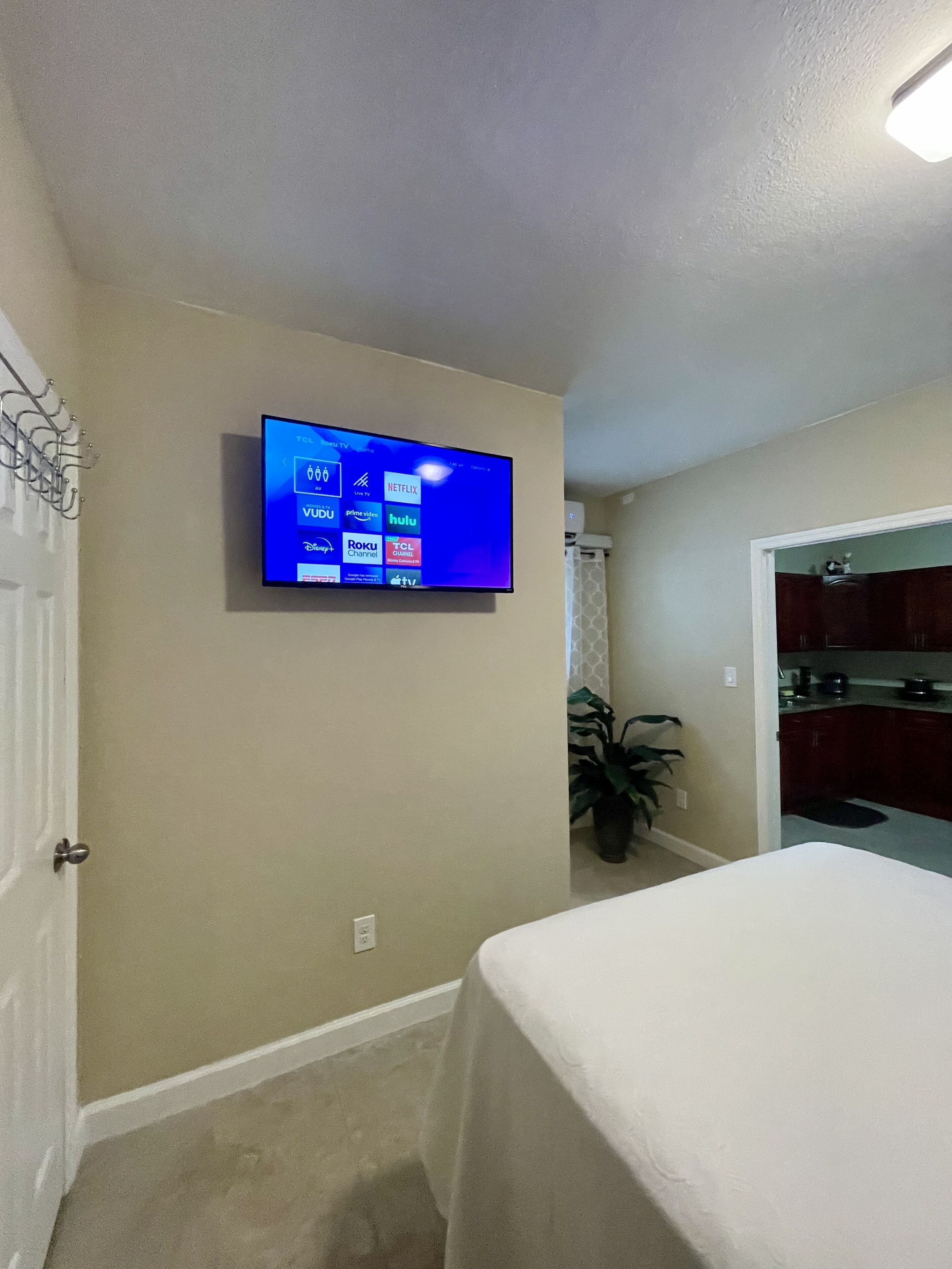 A room with a mounted TV displaying various streaming services, a door with a decorative handle, and a plant in the corner.