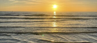 Clearwater’s gem, PRV GUEST SUITE 9 MINUTES FROM THE BEACH