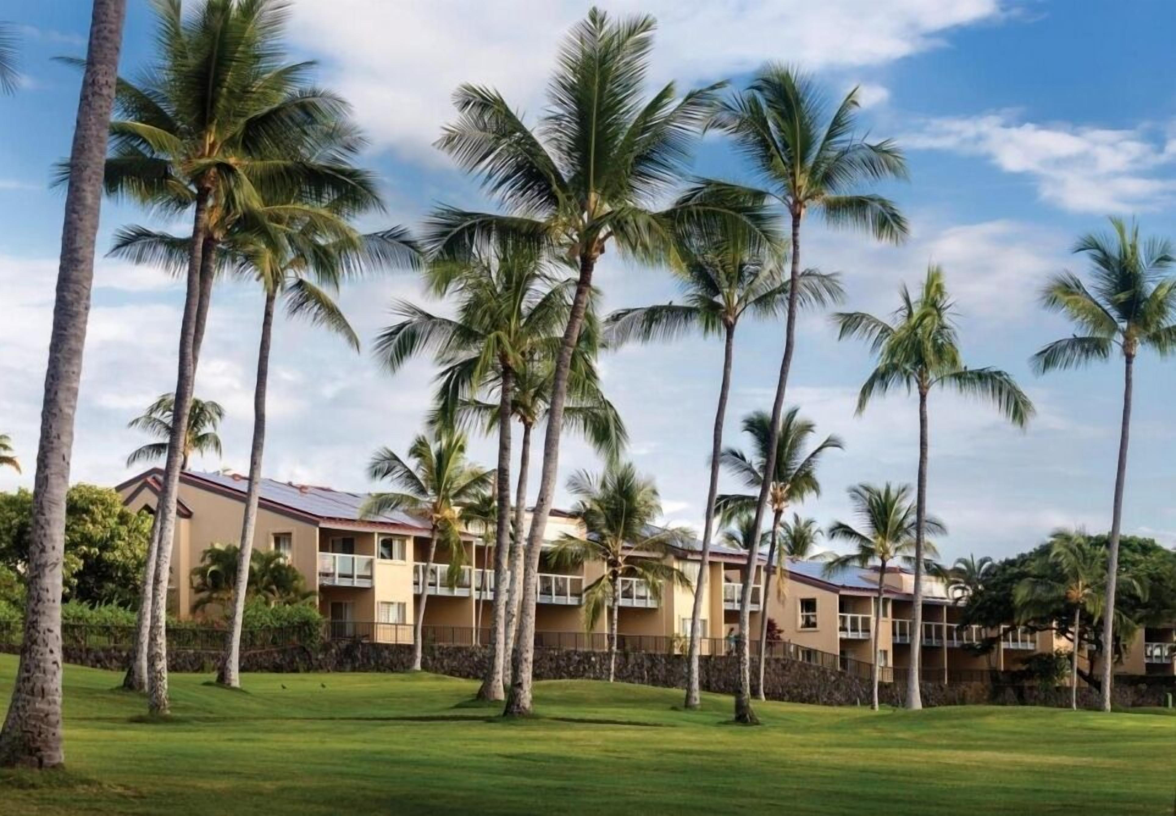A hotel with multiple floors, palm trees, and a well-maintained lawn.