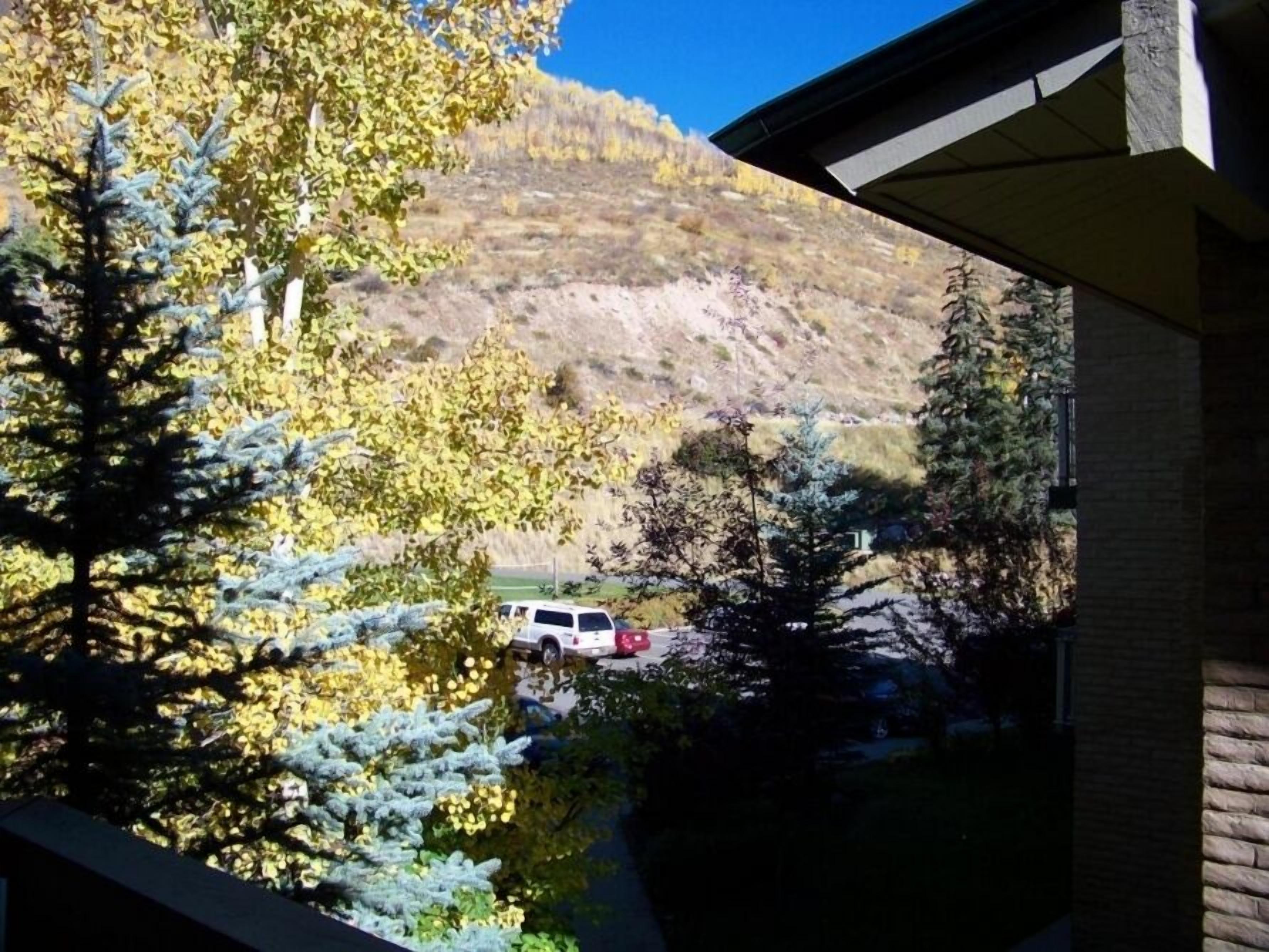 A view of a mountain with a parked car in the foreground, surrounded by trees with yellow leaves.