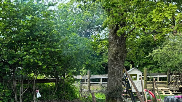 A stone fire pit surrounded by a stone wall, with a tree and a wooden structure in the background. - Studio with kitchen, fireplace, terrace, barbecue - dogs allowed - Hohes Venn - Eifel (Monschau)