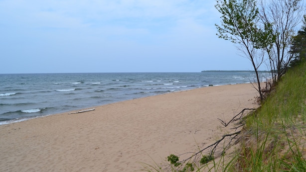 A sandy beach with gentle waves and sparse vegetation.