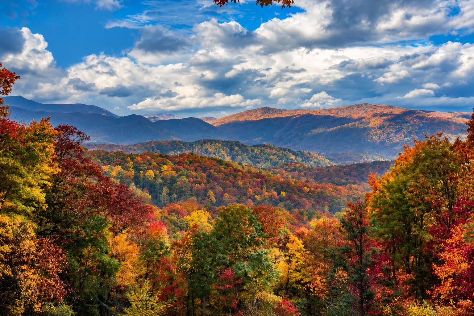 Un paysage montagneux aux couleurs automnales.