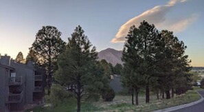 Unclassified image, 5 of 6, button