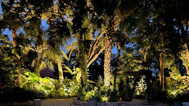 Une piscine dotée d’une terrasse carrelée, entourée d’une végétation luxuriante et d’arbres.