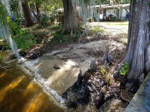 المنطقة المحيطة بالمنشأة