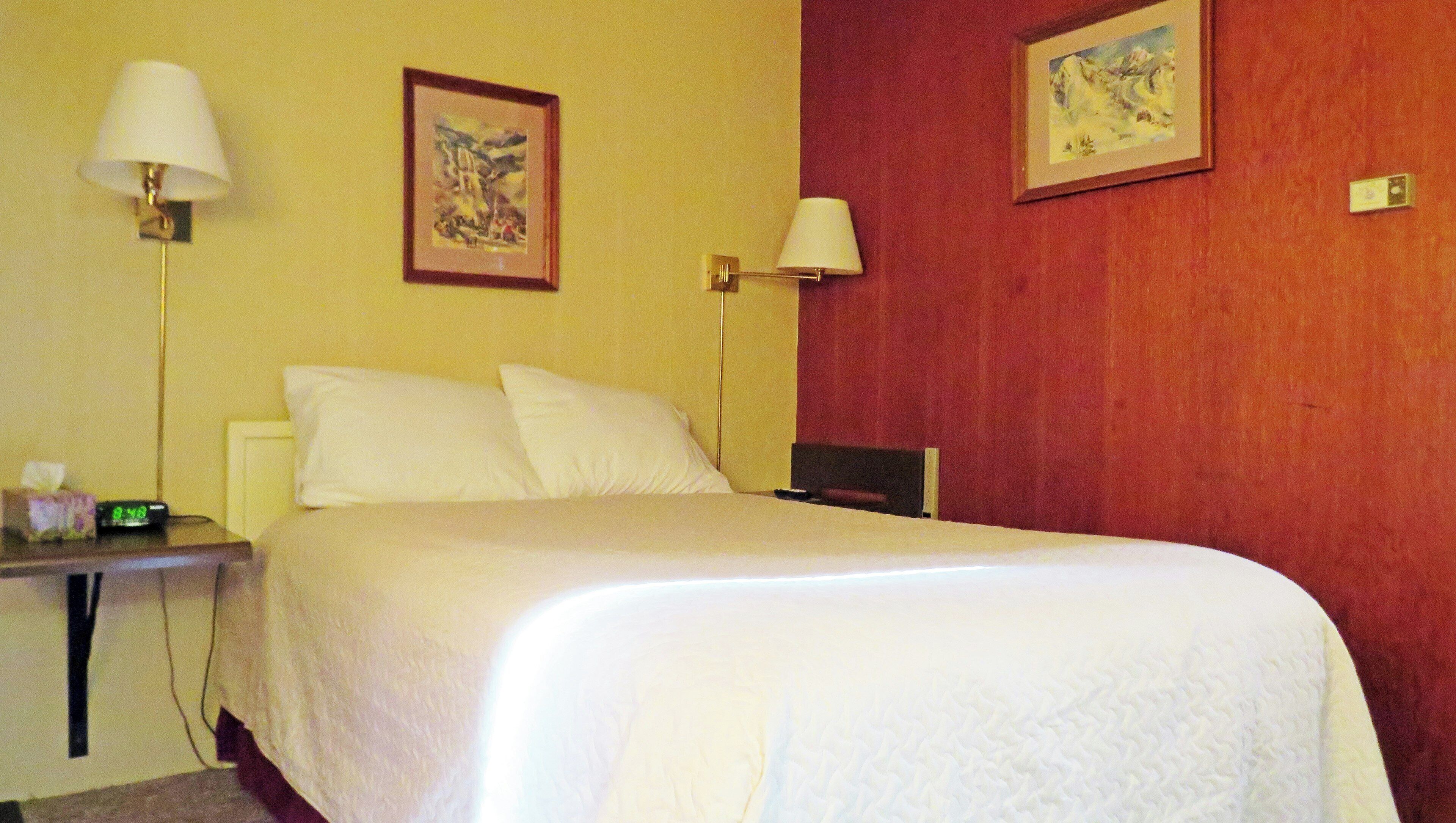 Standard Room, 1 Double Bed, Non Smoking, Refrigerator & Microwave | Individually decorated, individually furnished, desk, laptop workspace