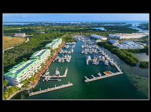 An aerial view of a marina with multiple docks and boats, surrounded by lush greenery and a large hotel with green roofs.