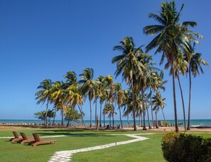 A beach with palm trees, a clear sky, and a pathway leading to lounge chairs. - Pelican Beach Resort (Dangriga)