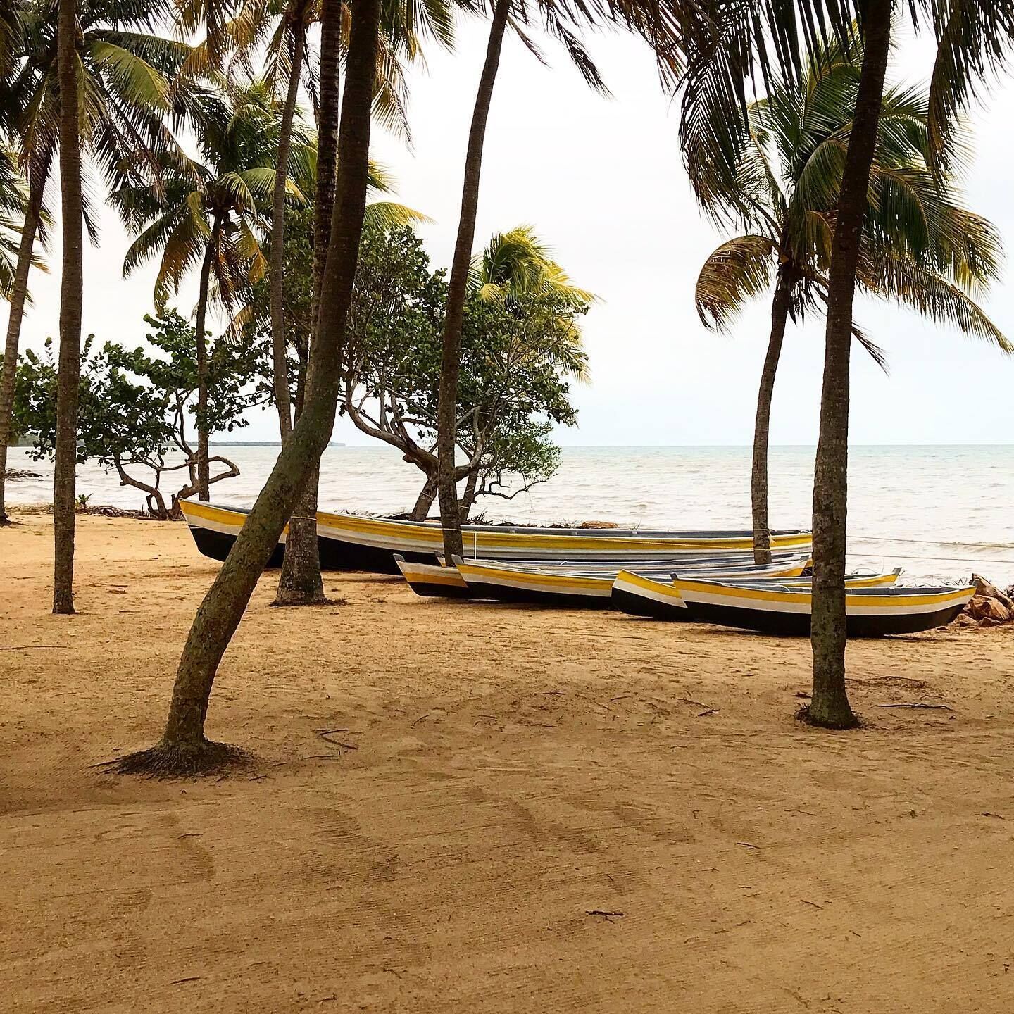A sandy beach with several boats and palm trees.