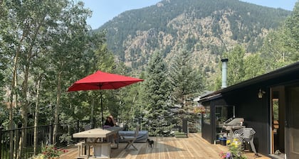 Large house in the mountains, (pre-approved!) dogs welcome