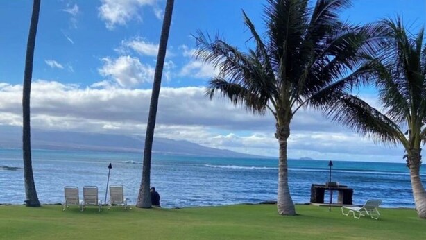 A beach view with palm trees, a grassy area, and a seating arrangement facing the ocean.