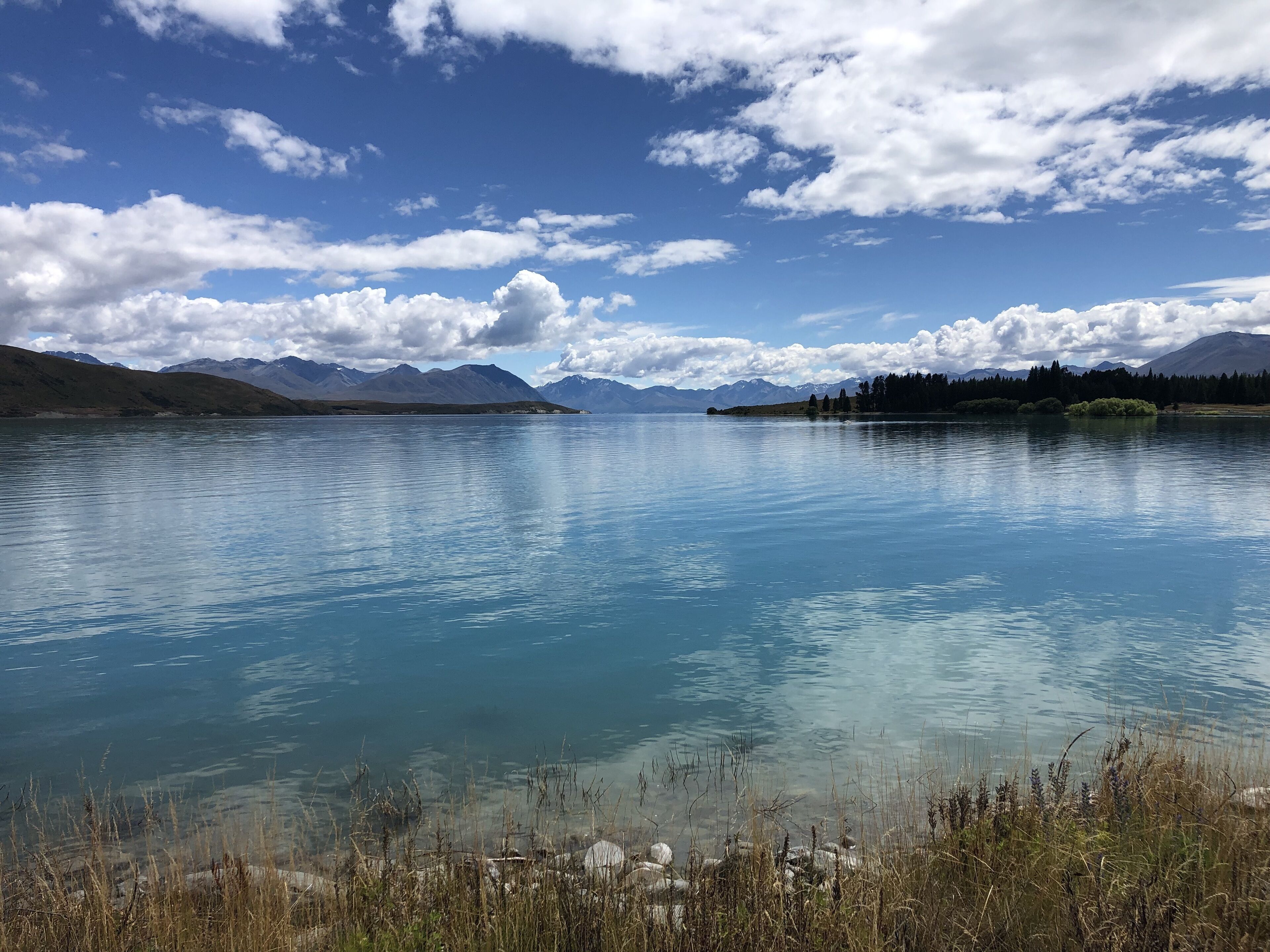 Ein ruhiger See mit klarem, blauem Wasser, umgeben von Bergen und einem bewaldeten Gebiet.