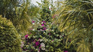 Jardín