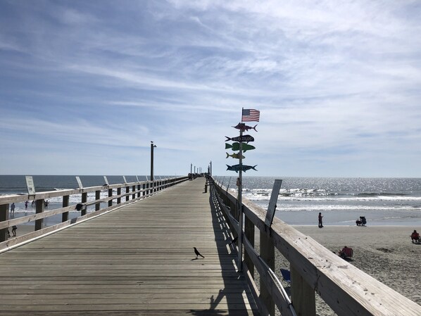 A wooden pier extending into the ocean with a flag and signs indicating different fish species.