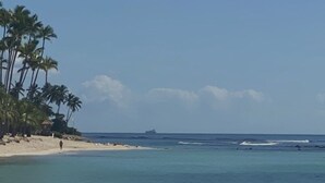 Ein Strand mit klarem, blauem Wasser, Palmen und einem Schiff in der Ferne.