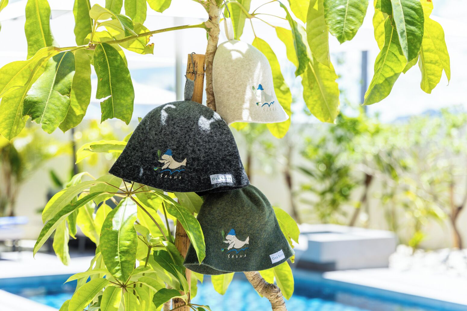 Zwei Hüte hängen an einem Baum am Pool.