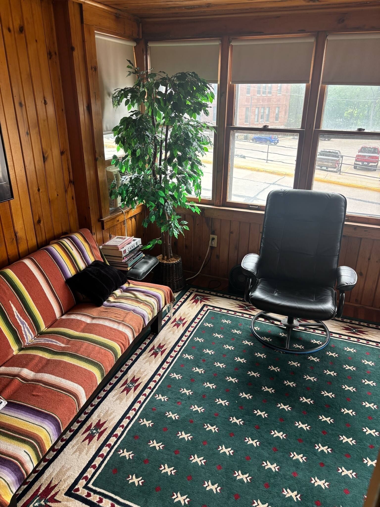 TV connectée, cheminée, lecteur de DVD, livres