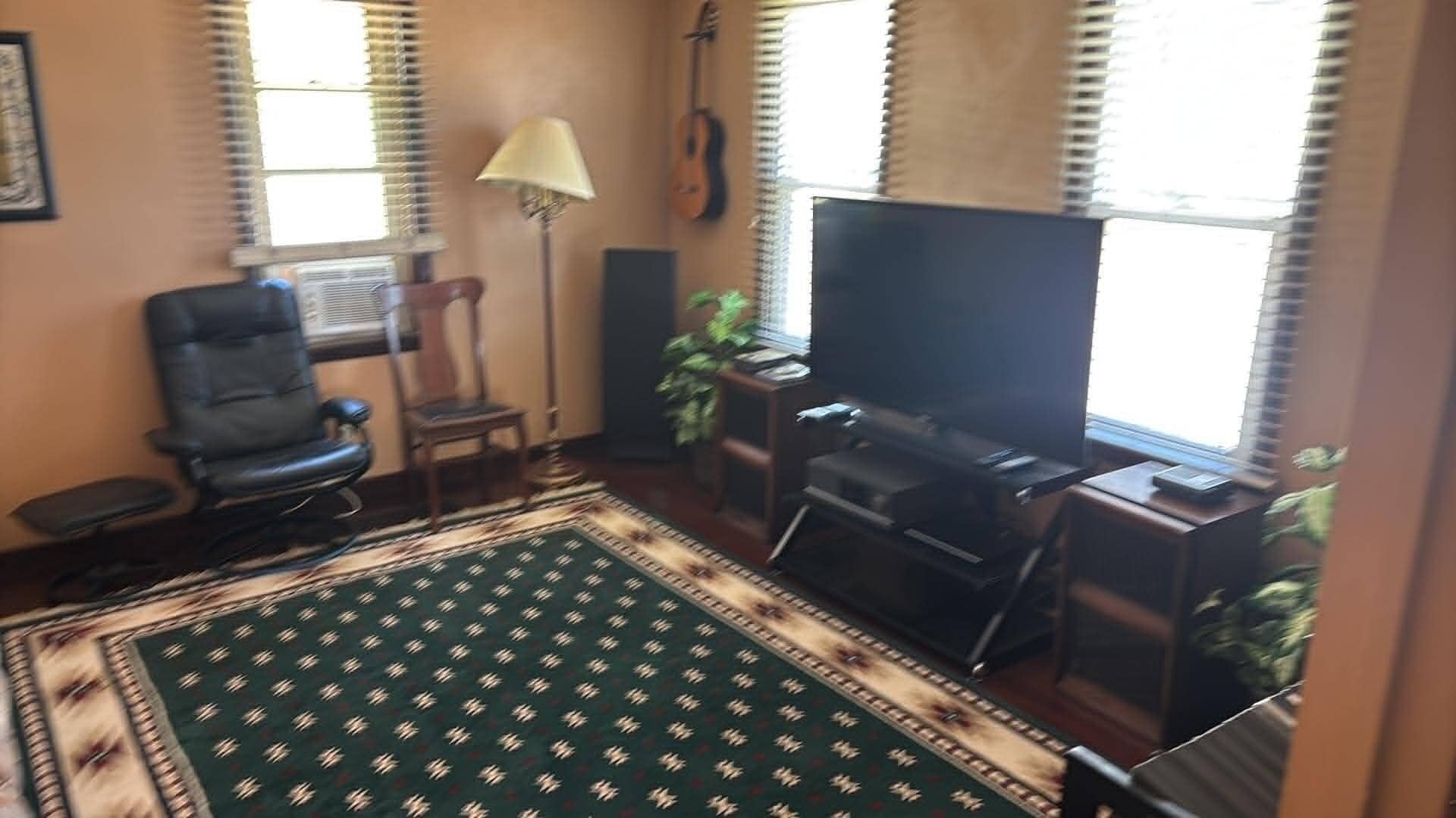 A living room with a large flat-screen TV, a black leather chair, a patterned rug, and a potted plant.