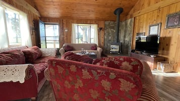 Smart-tv, eldstad och dvd-spelare