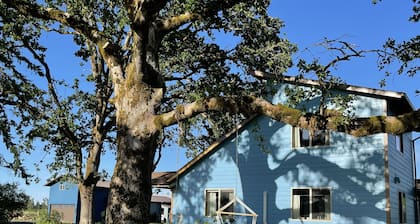 Alpaca Farm Retreat