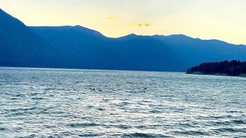 A lake with mountains in the background and a forested island on the right.