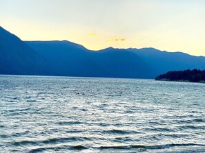 Un lac avec des montagnes en arrière-plan et une île boisée sur la droite.