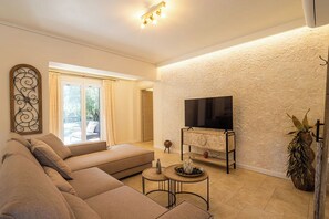 TV connectée, cheminée, lecteur de DVD, livres