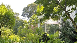 Ein Garten mit einem Gartenhaus, verschiedenen Pflanzen und gelben Blumen.