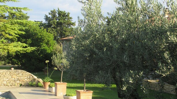 Un área de piscina con un muro de piedra, plantas en macetas y una terraza de madera.