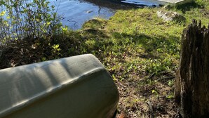 Järvenrantalaituri, jossa on penkki ja lähellä puunrunko.