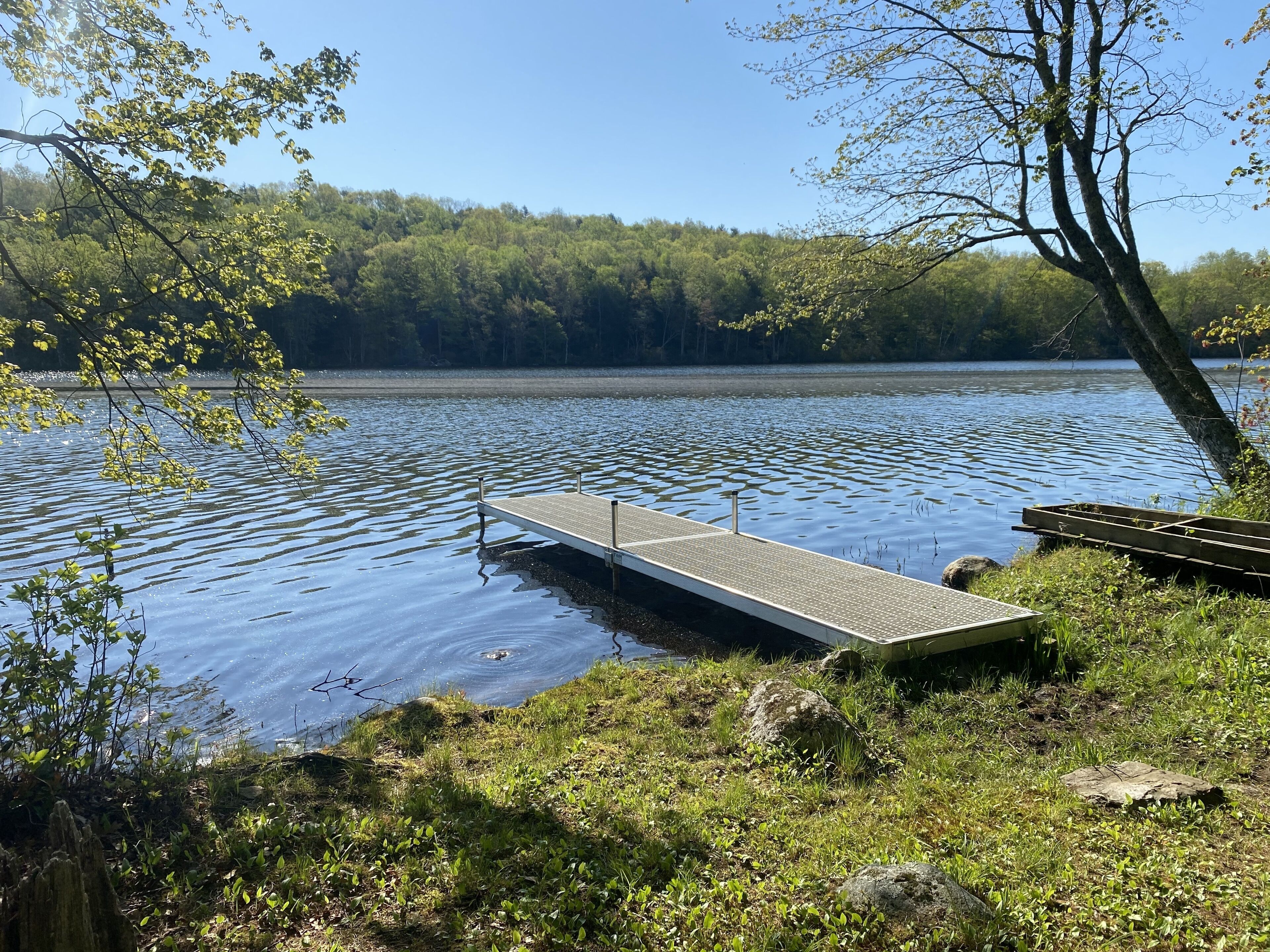 Un muelle de madera se extiende sobre un lago tranquilo rodeado de vegetación exuberante y árboles.
